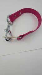Seatbelt Restraints by The Blue Collar