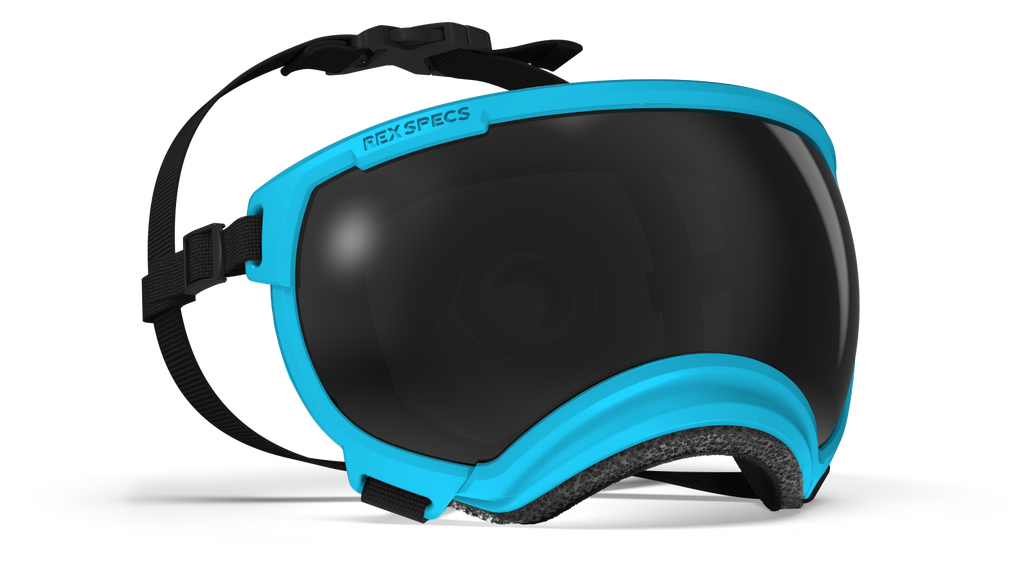 Rex Specs V2 Goggles