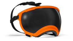 Rex Specs V2 Goggles