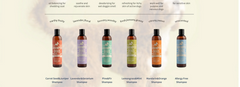Shampoo for Dogs by Black Sheep Organics
