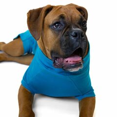 VetMedWear Suit - After Surgery Pet Clothing