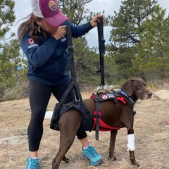 The Panza Harness with Deployable Emergency Dog Rescue Sling