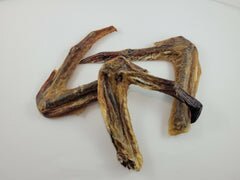 Duck Wing