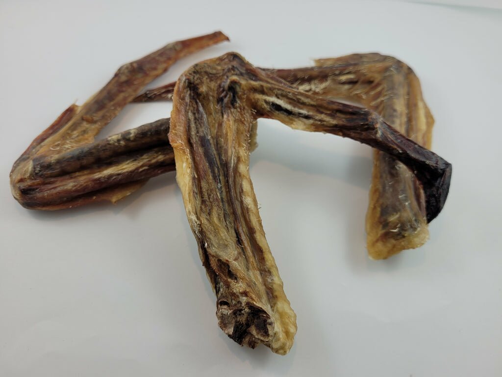 Duck Wing
