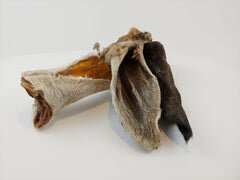 Lamb and Goat Ears
