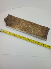 Naturally Shed Moose Antler