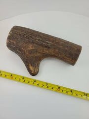 Naturally Elk Shed Antler