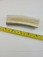 Naturally Elk Shed Antler