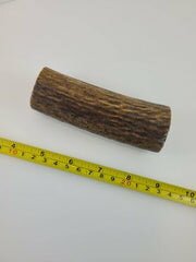 Naturally Elk Shed Antler
