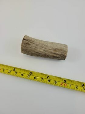 Naturally Elk Shed Antler