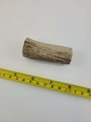 Naturally Elk Shed Antler