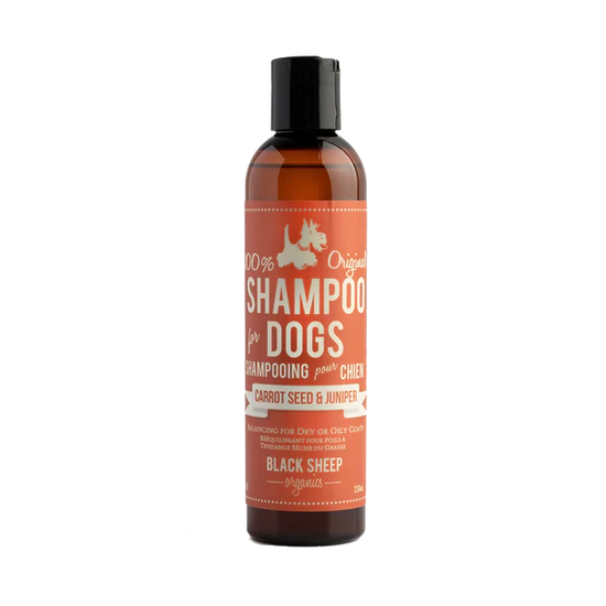 Shampoo for Dogs by Black Sheep Organics