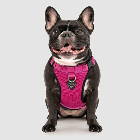 Canada Pooch Harnesses