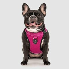 Canada Pooch Harnesses