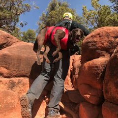The Airlift by Fido Pro Emergency Dog Rescue Sling