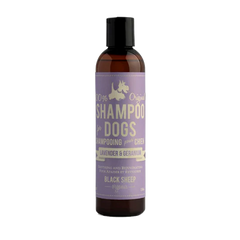 Shampoo for Dogs by Black Sheep Organics