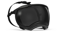 Rex Specs V2 Goggles