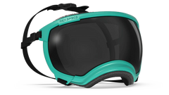Rex Specs V2 Goggles