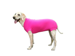 VetMedWear Suit - After Surgery Pet Clothing