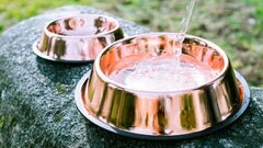 Copper Bowls