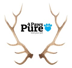 Naturally Elk Shed Antler