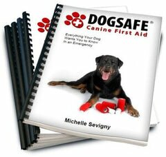 DogSafe Canine First Aid Kits