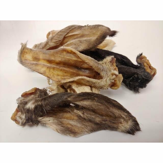 Lamb and Goat Ears