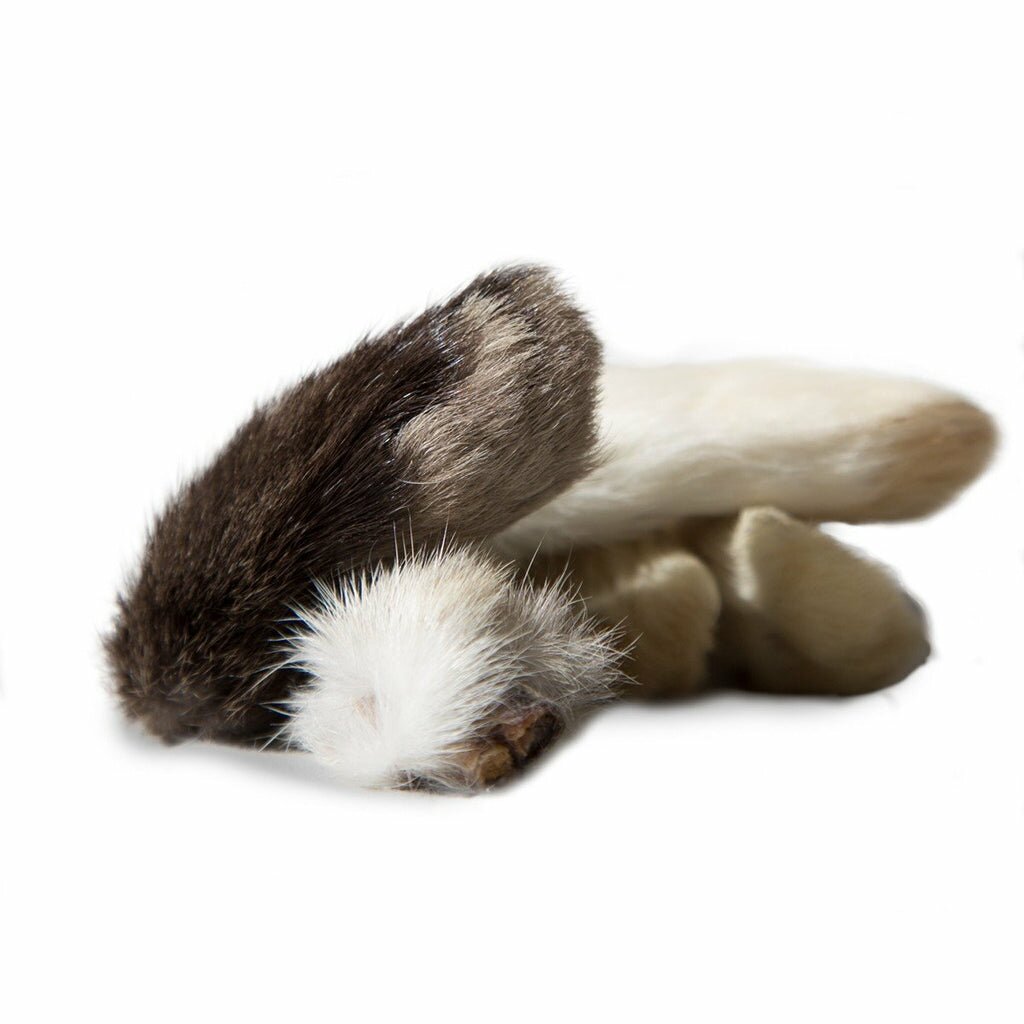 Rabbit Feet