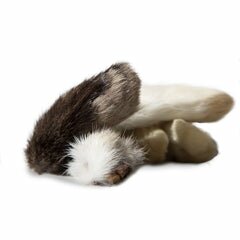 Rabbit Feet