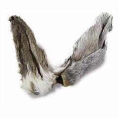 Rabbit Ears