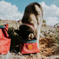 Wilderdog Backpacking Bowl