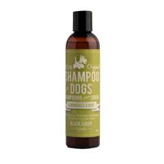 Shampoo for Dogs by Black Sheep Organics