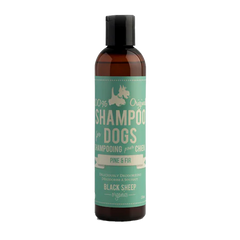 Shampoo for Dogs by Black Sheep Organics