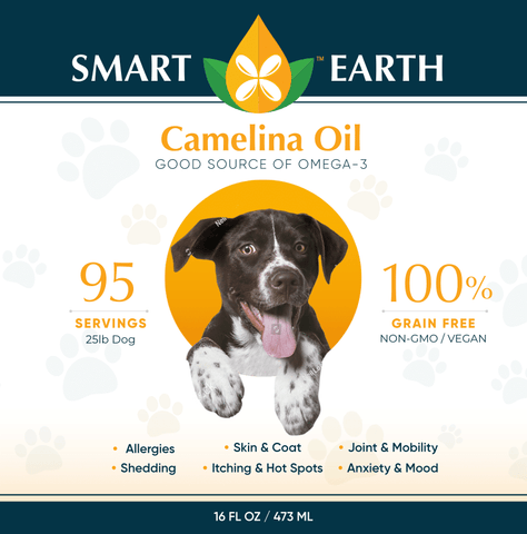 Camelina Oil by Smart Earth
