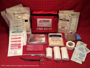 DogSafe Canine First Aid Kits
